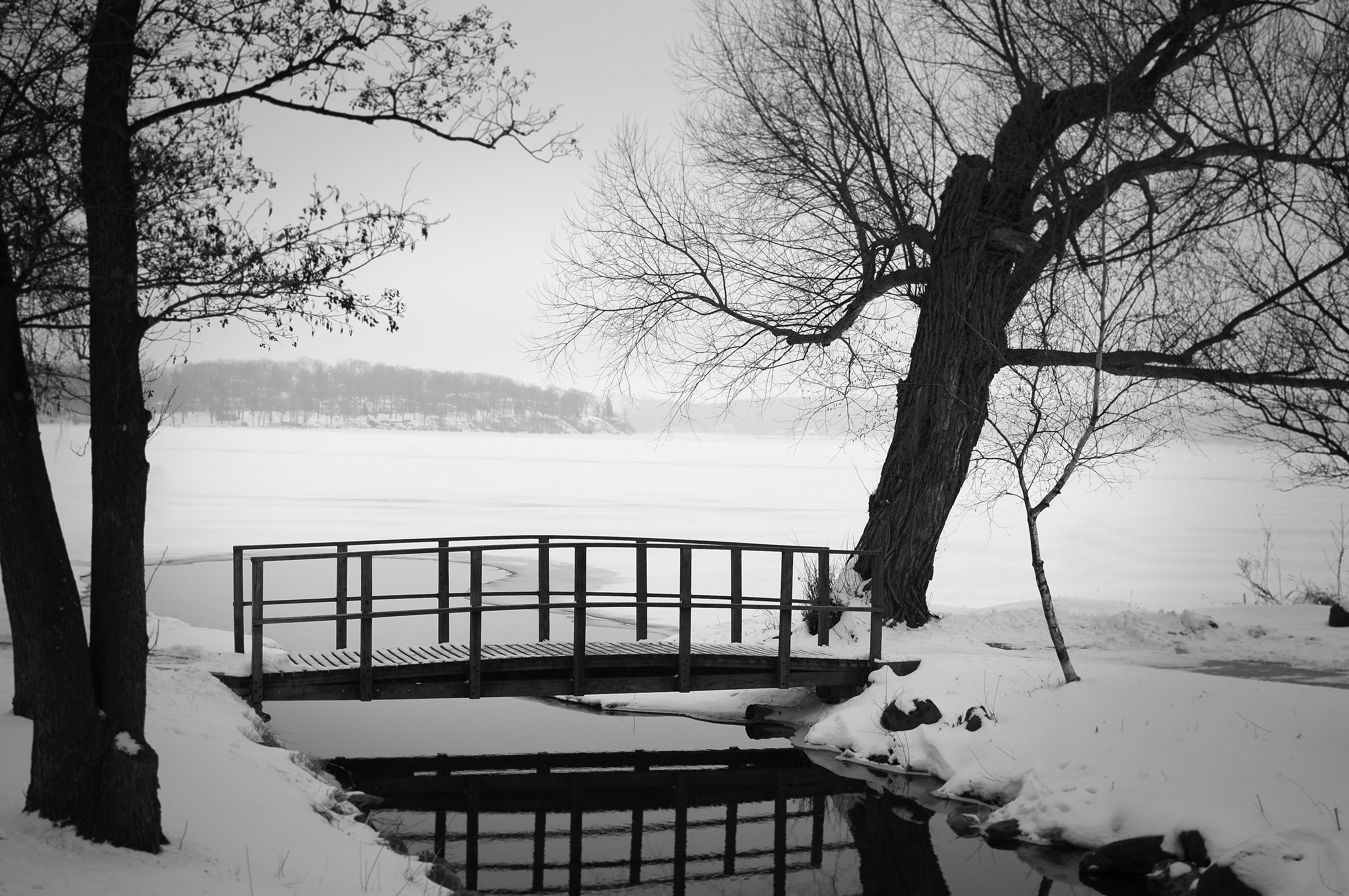 lakefront bridge jan2.jpg