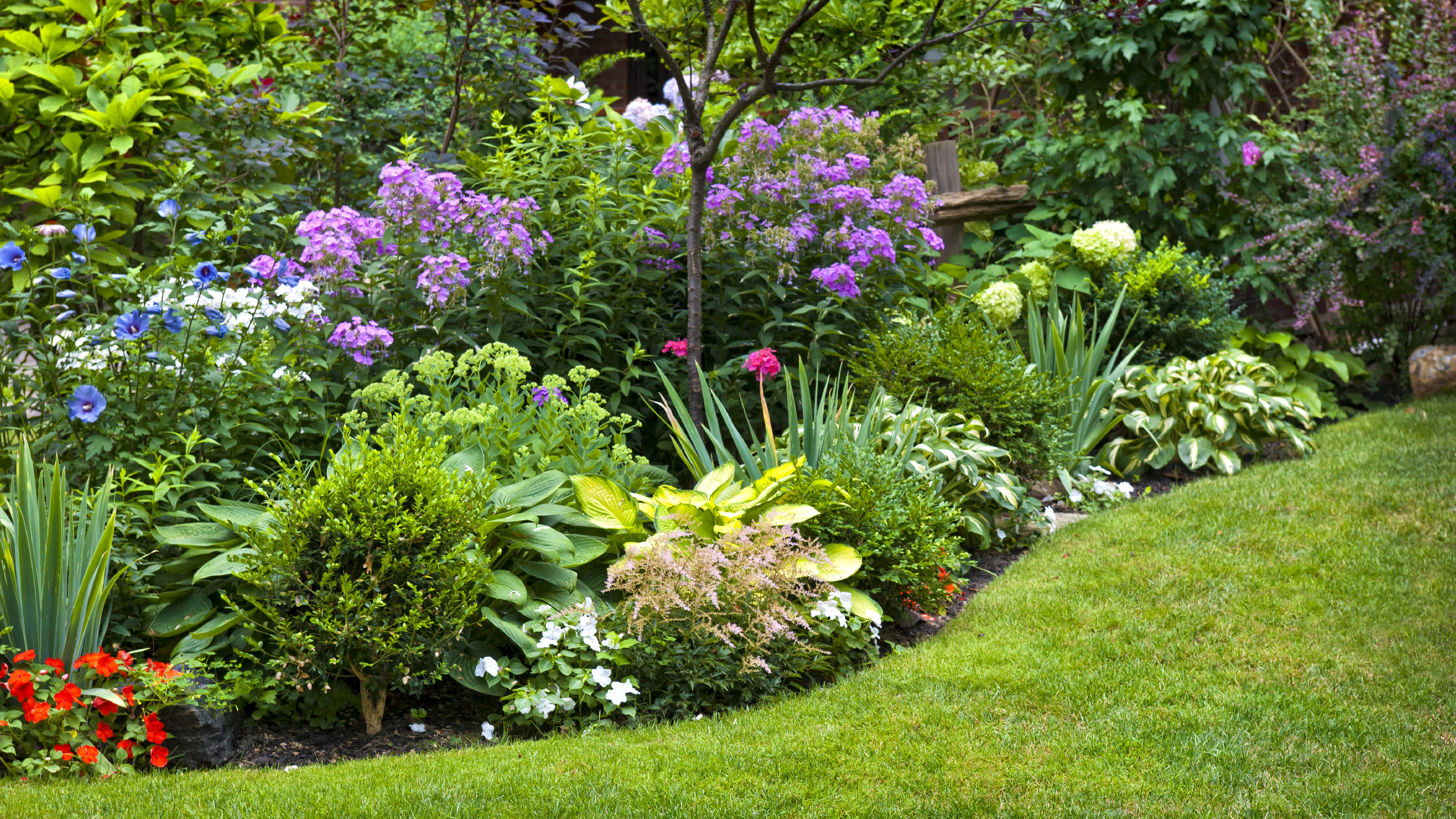 landscaping-flowering-perennials-e1459196898561.jpg