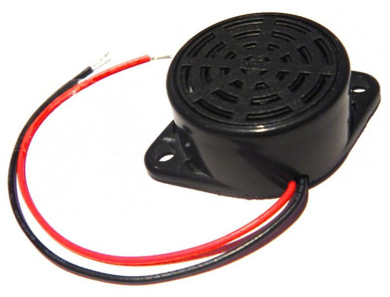 large-piezo-transducer-buzzer-800x609.jpg