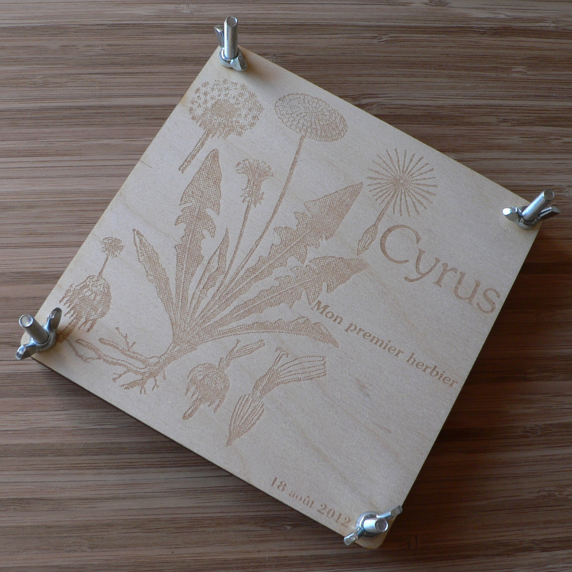 lasercut-wooden-herborium-2012-08-18 14.00.26.jpg