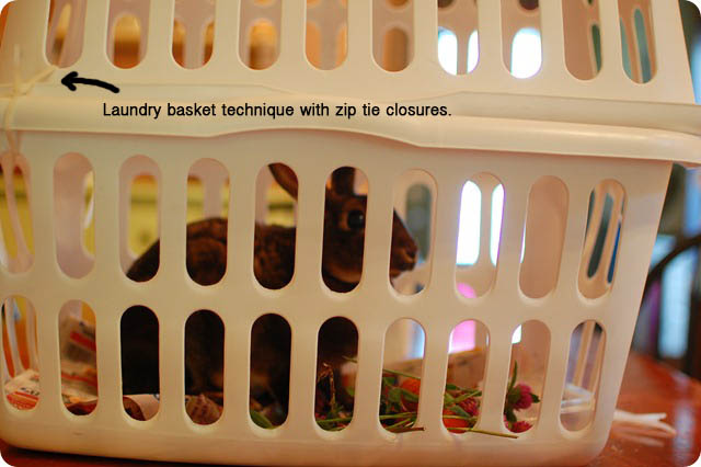 laundrybaskets.jpg