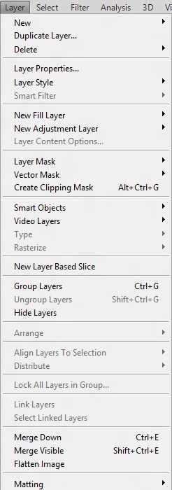 layer menu.jpg