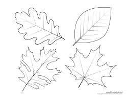 leaf.png