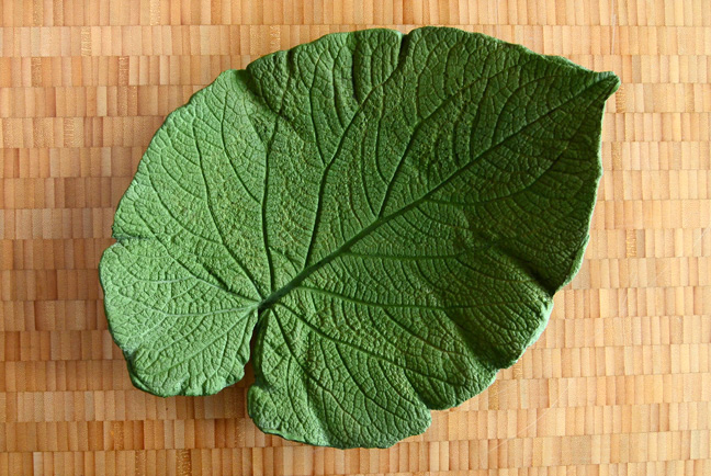 leaf_new_03.jpg