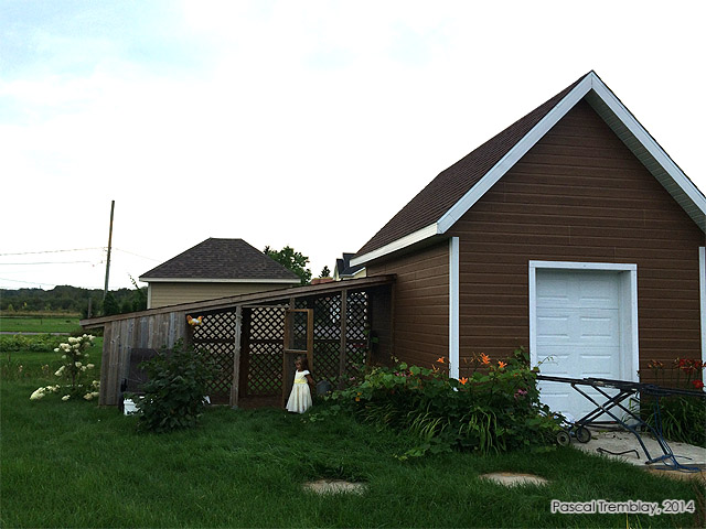 lean-to-chicken-coop-1.jpg