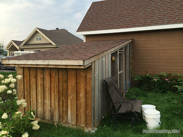 lean-to-chicken-coop-2.jpg