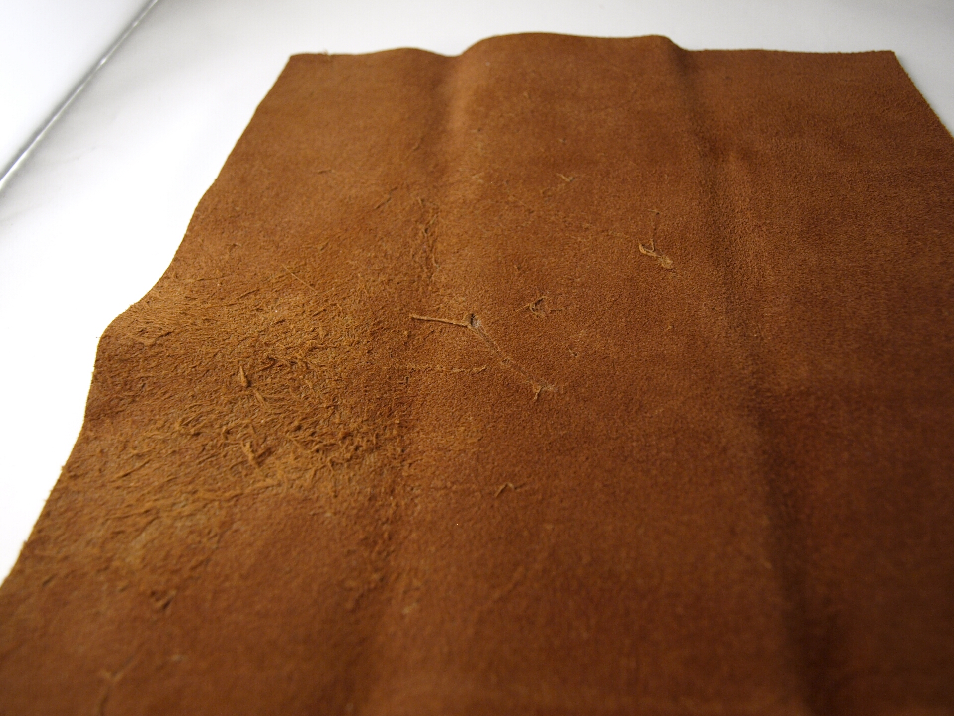 leather project_8035730 1.jpg