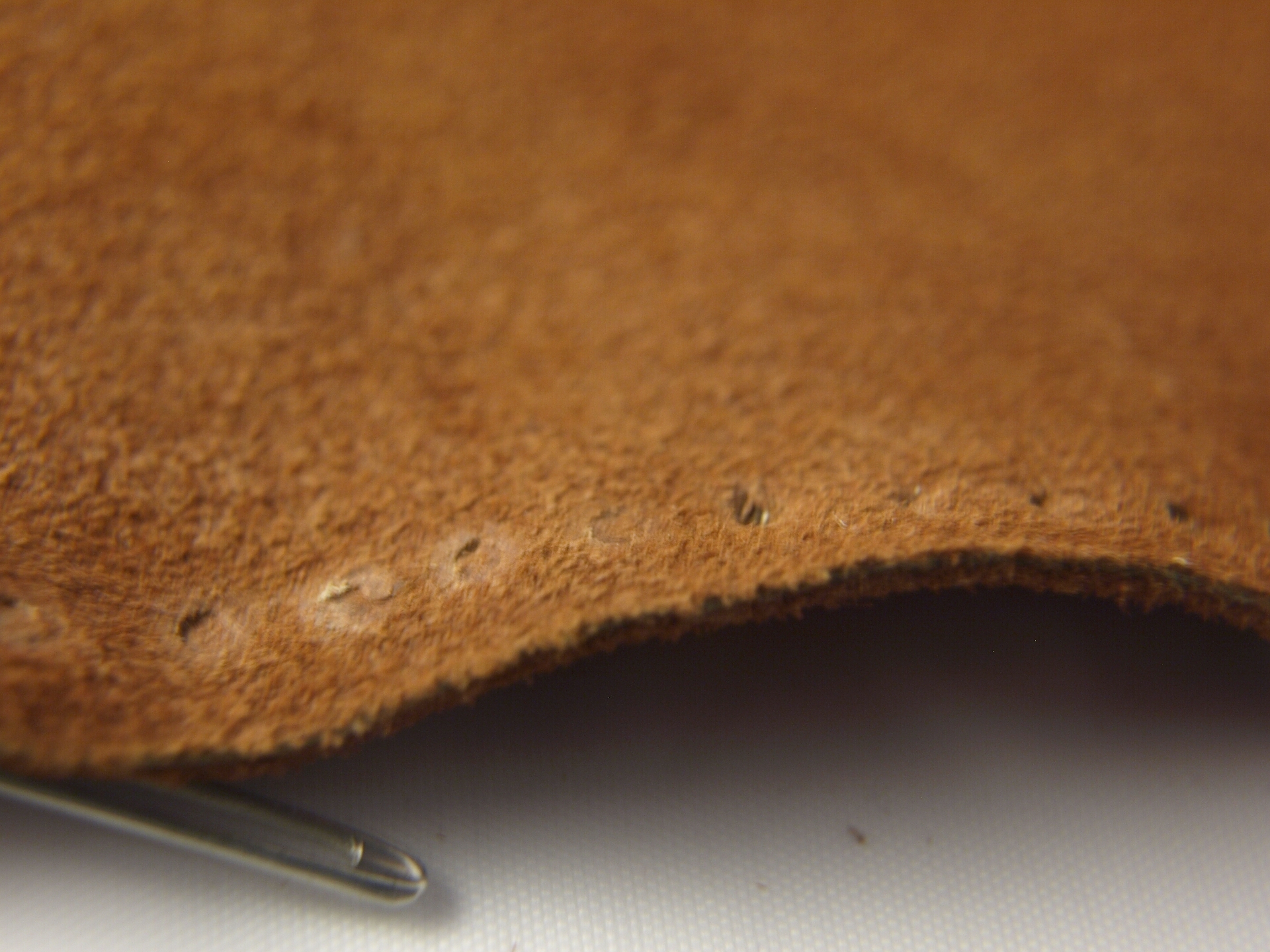 leather project_8075779 1.jpg