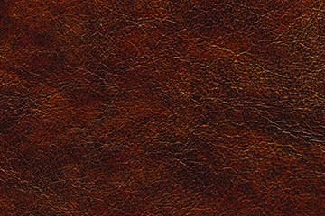 leather-skin-texture.jpg