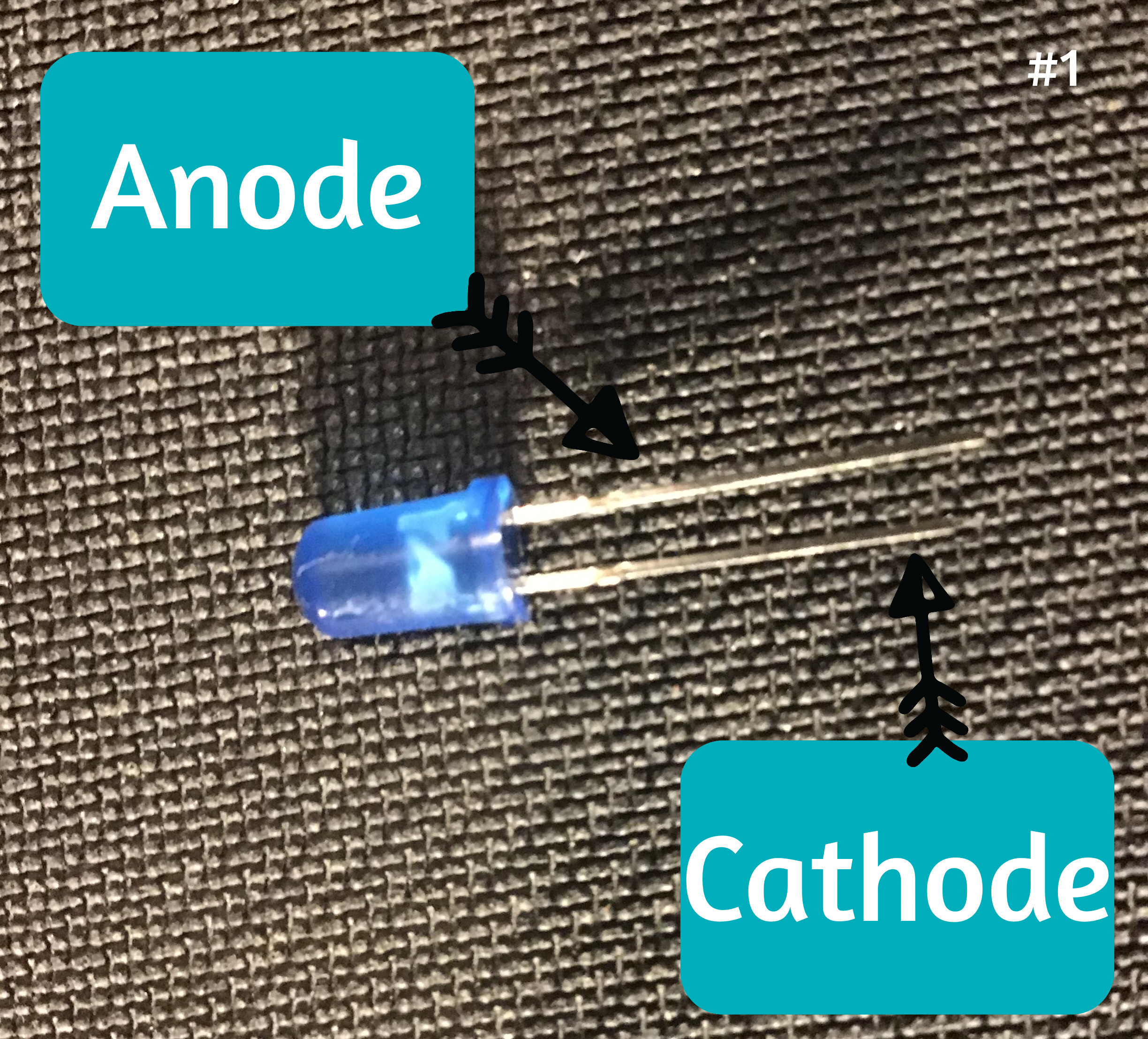 led anode cathode.jpg