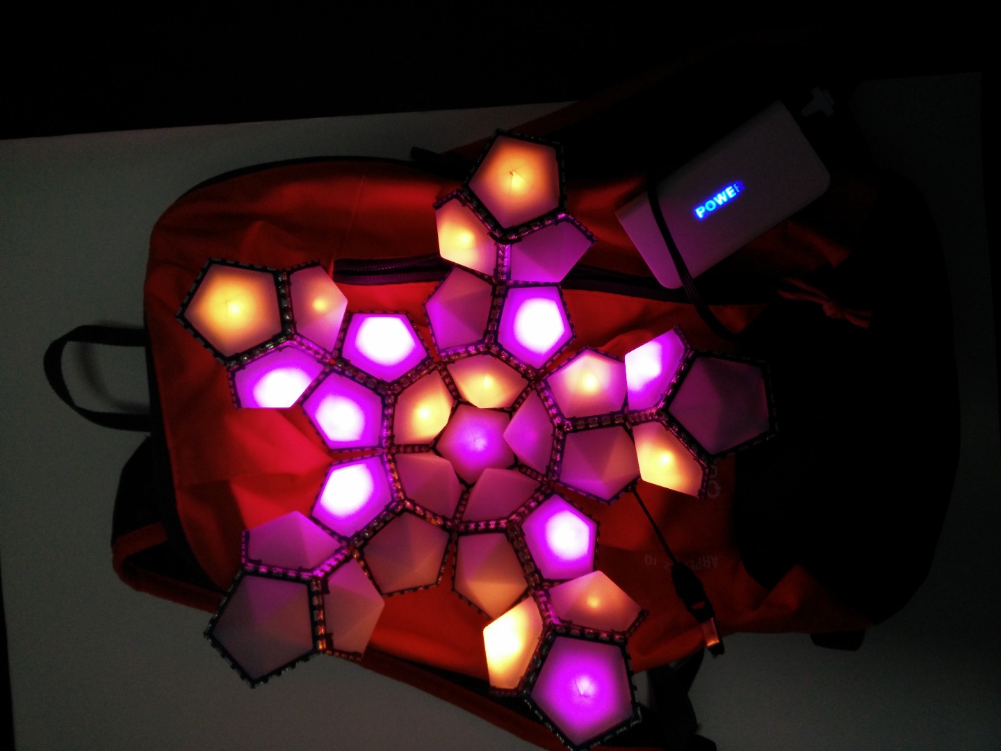 led back bag - 7.jpg