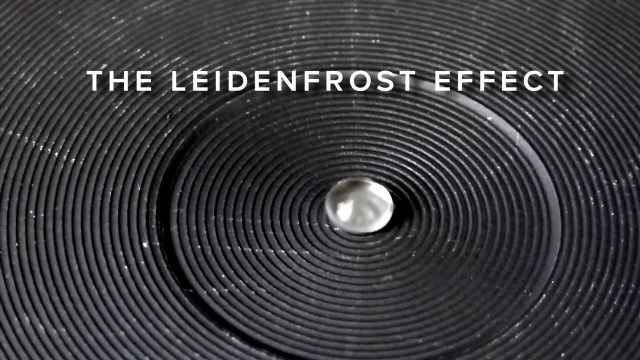 leidenfrost.jpg