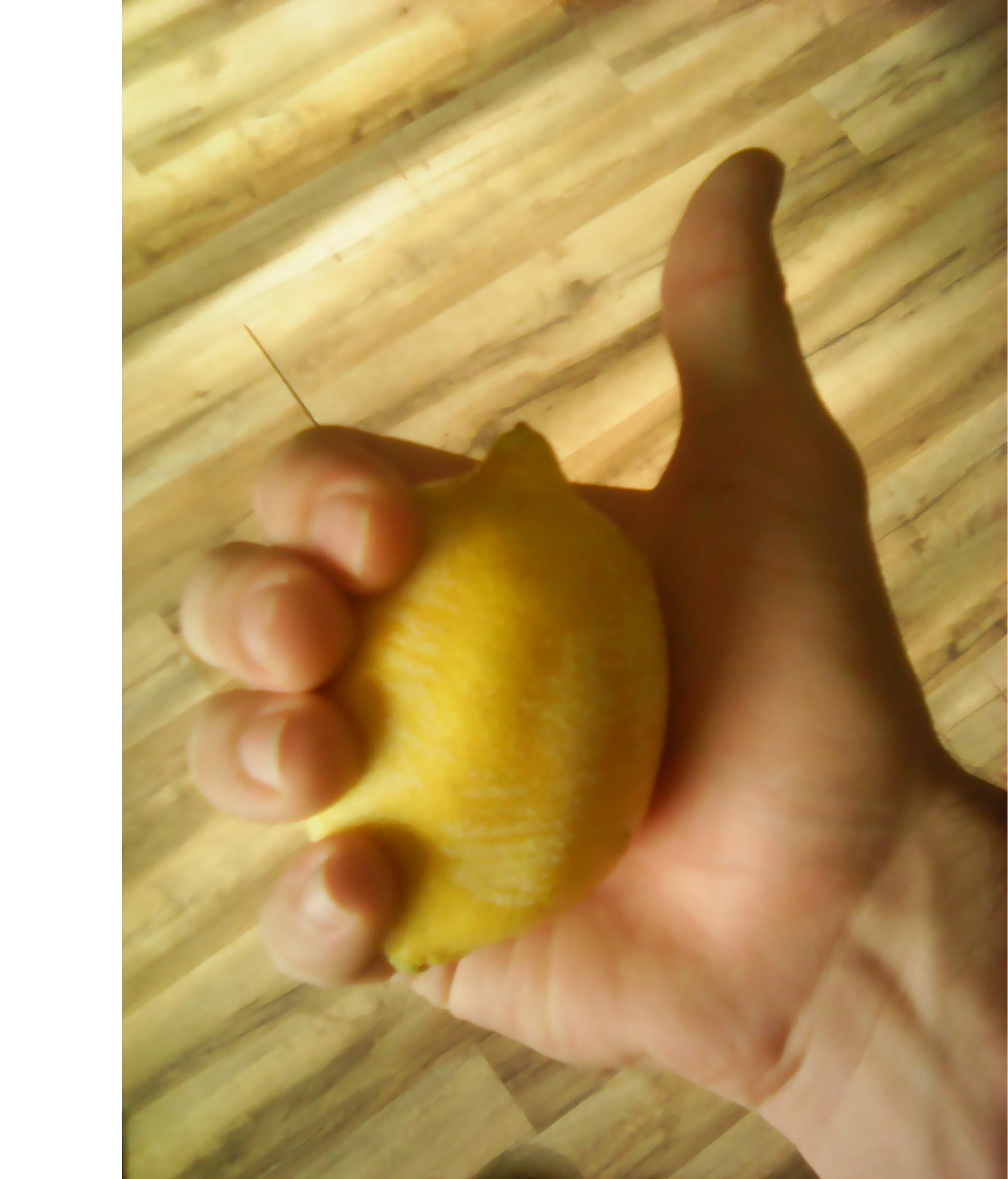 lemon thumb.JPG