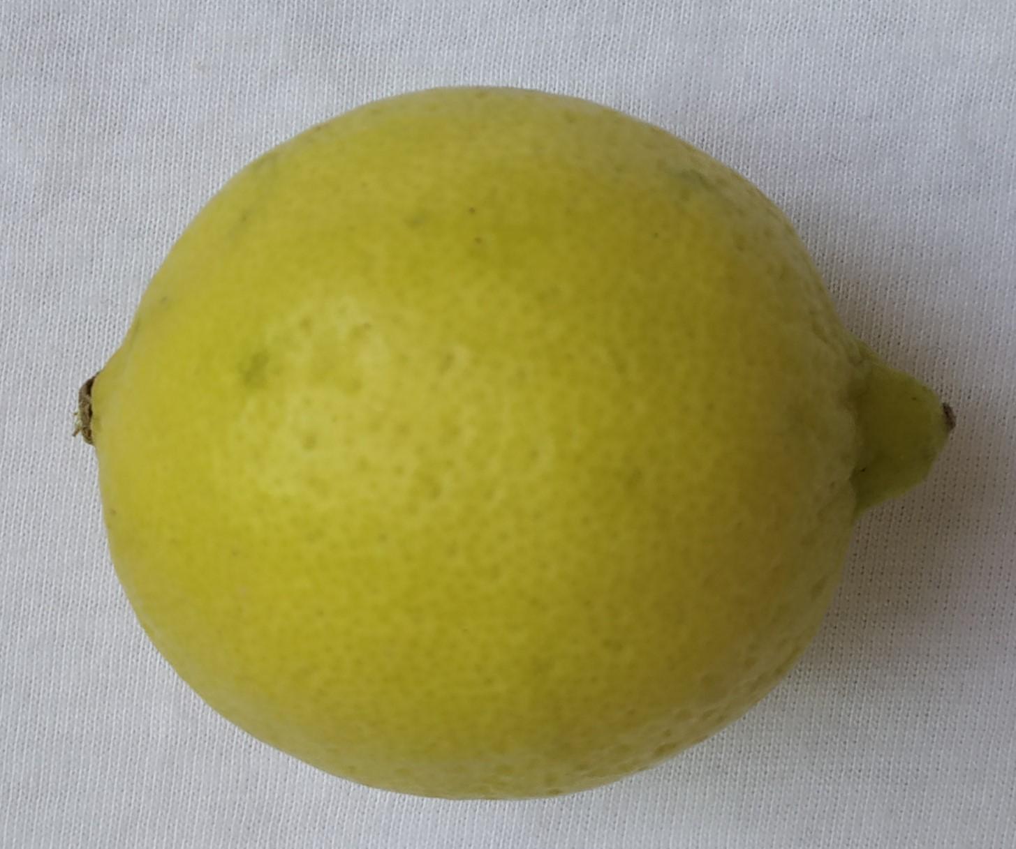 lemon.jpg