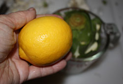 lemon1.jpg