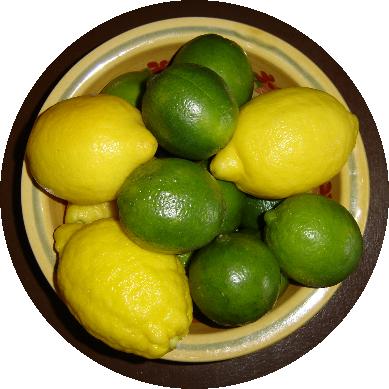 lemons-limes-in-circle.JPG