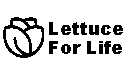 lettuce_logo_bmp.bmp