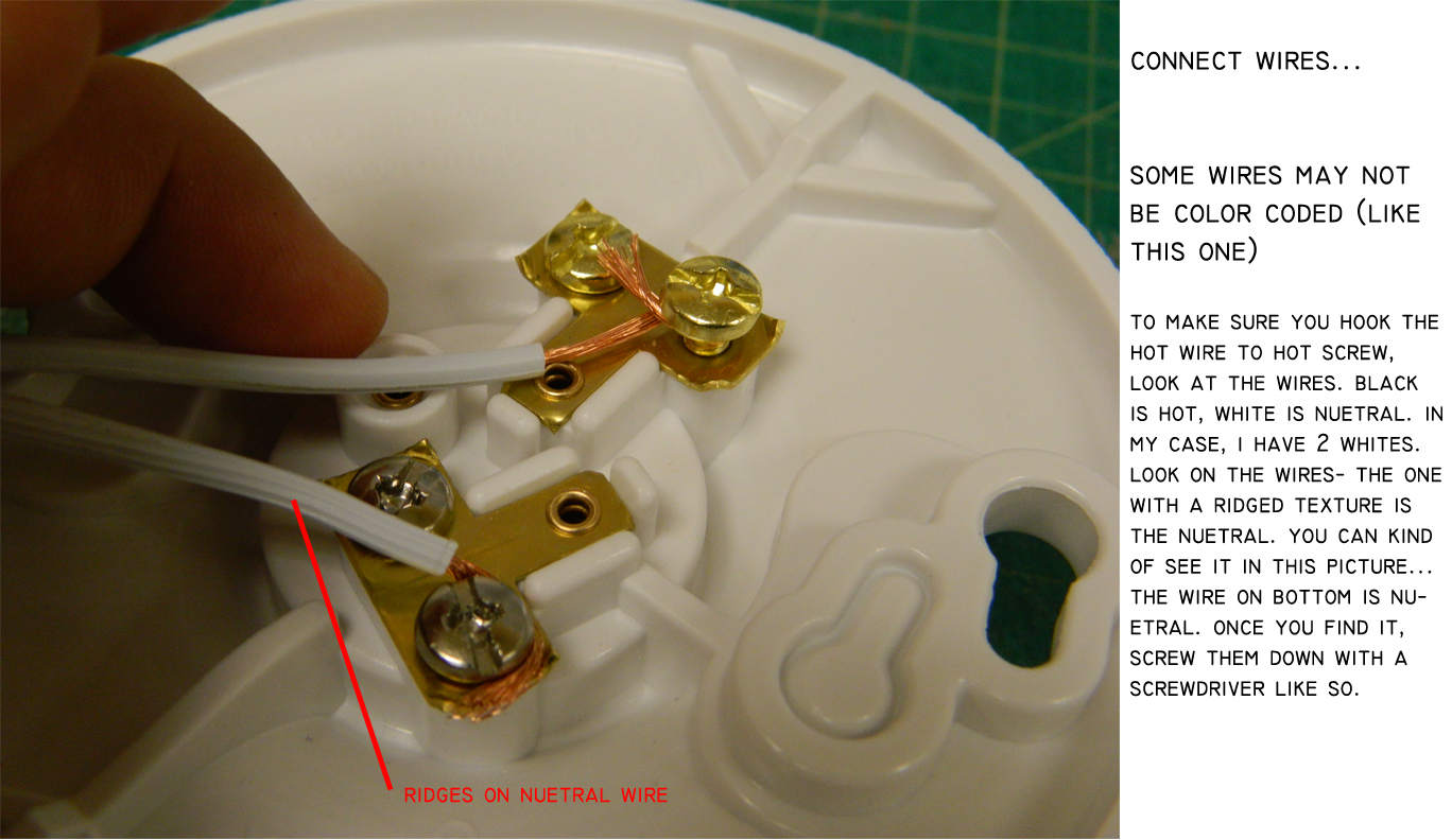 light_0004_ridges on nuetral wire.jpg