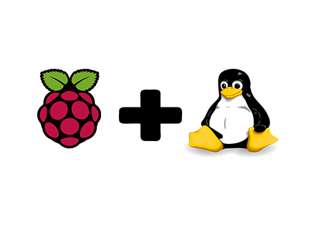linux+raspberry.jpg