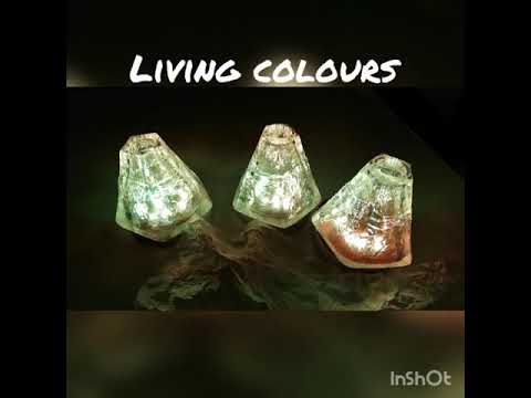 living colours