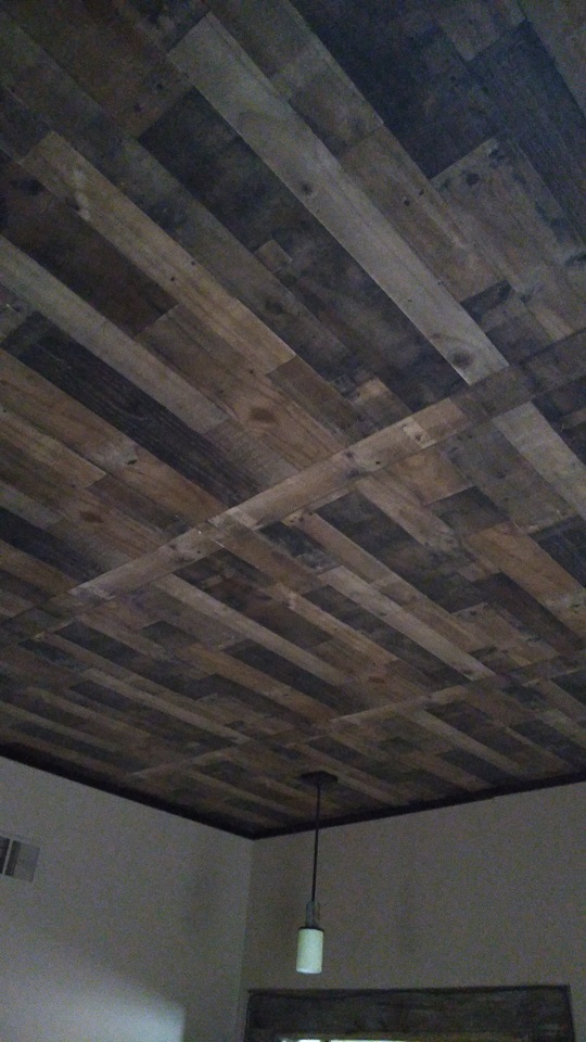 living room ceiling.jpg