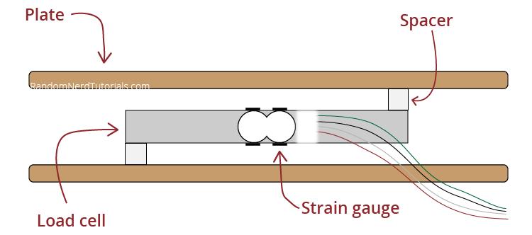 load-cell-setup-scale.jpg