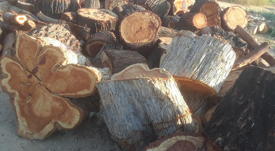 logs.jpg