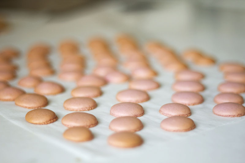 macaron494.jpg