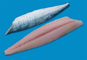 mackerel-strip.jpg