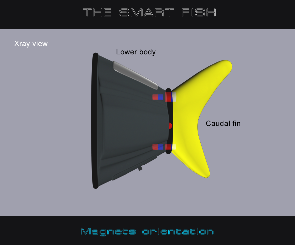 magnets_Orientation.png