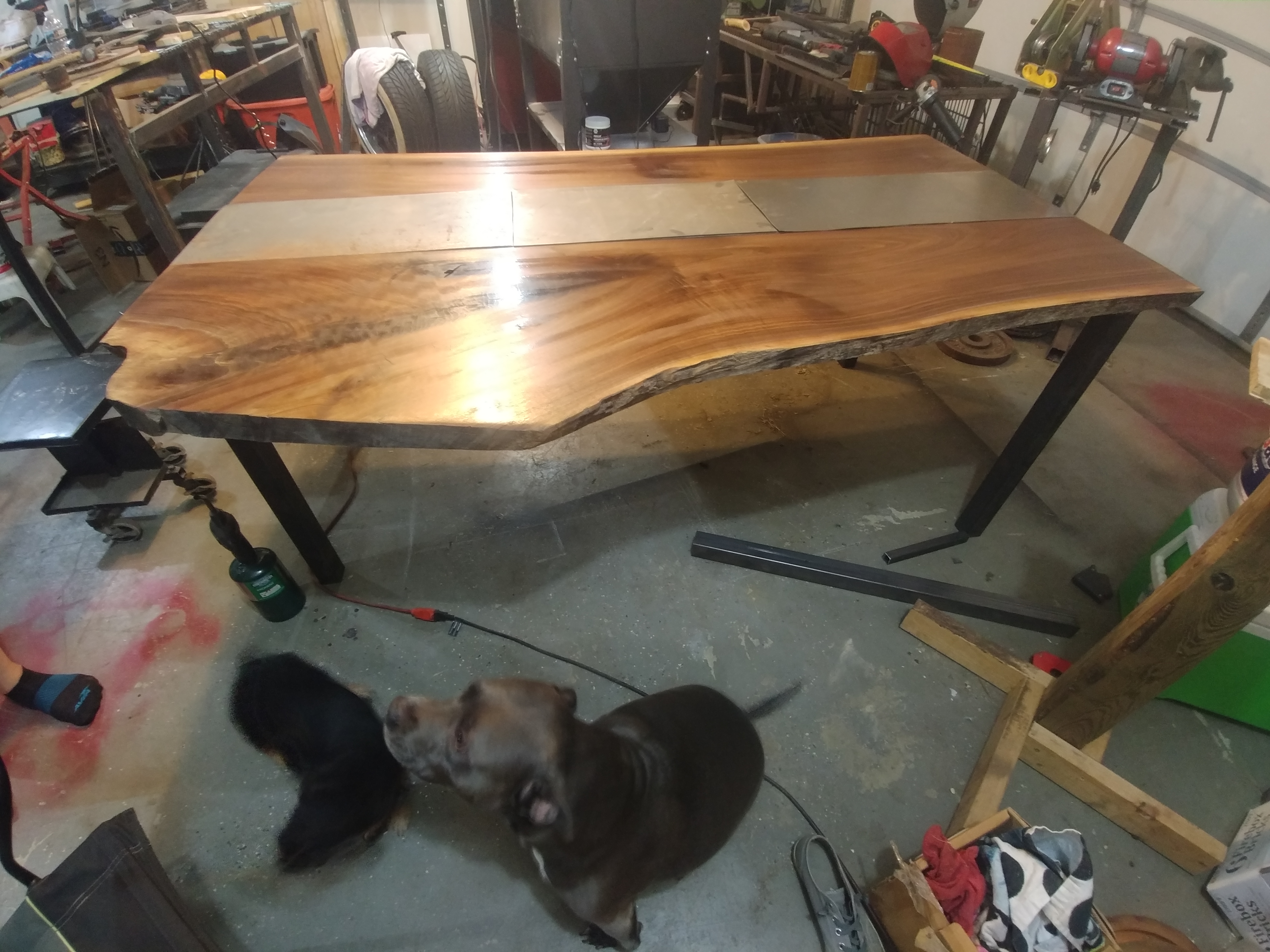 making-a-dinning-room-table-and-benches-for-my-living-room_26932169369_o.jpg