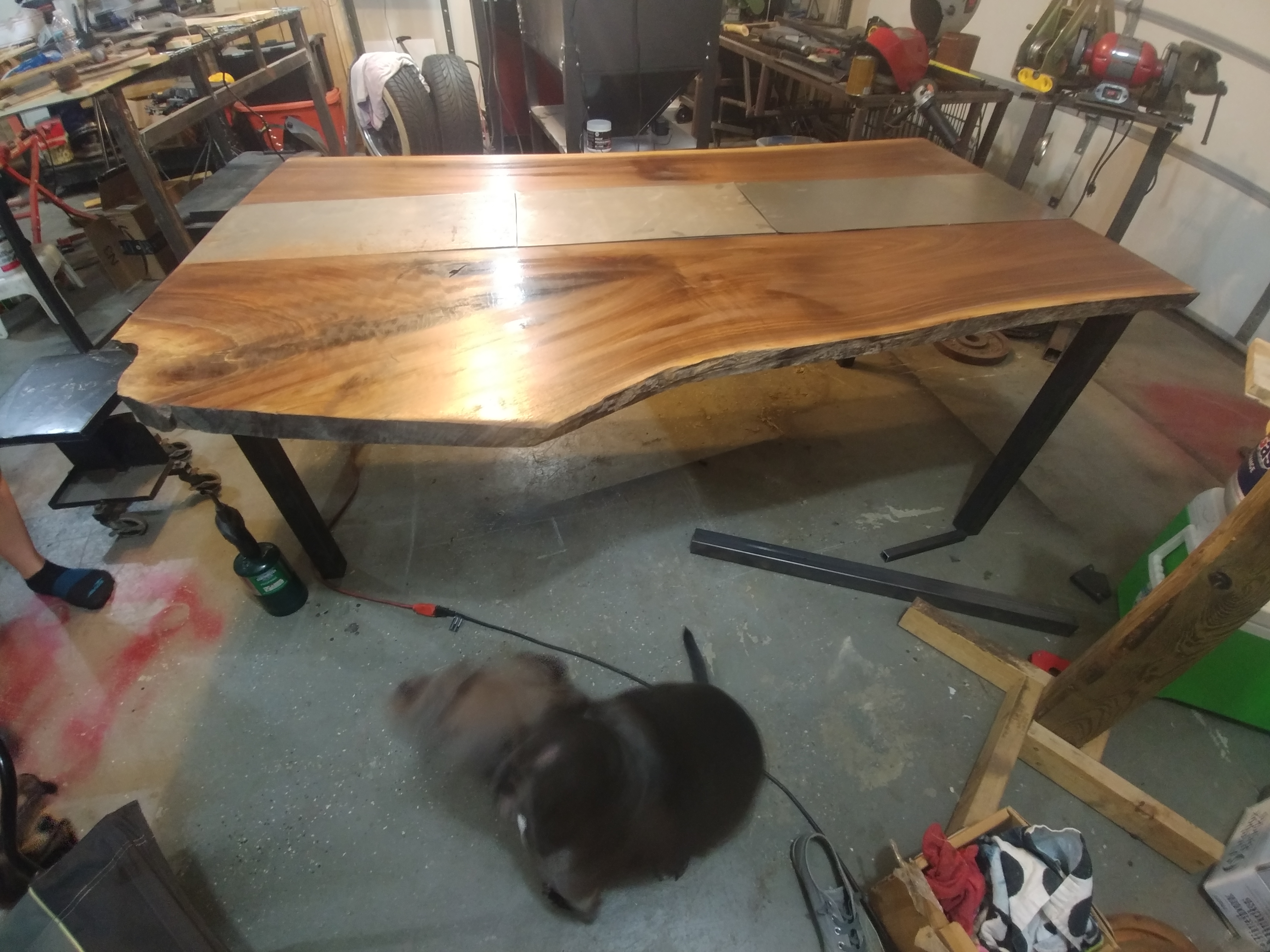 making-a-dinning-room-table-and-benches-for-my-living-room_38652435646_o.jpg