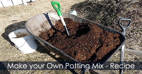 making-potting-mix-tips.jpg