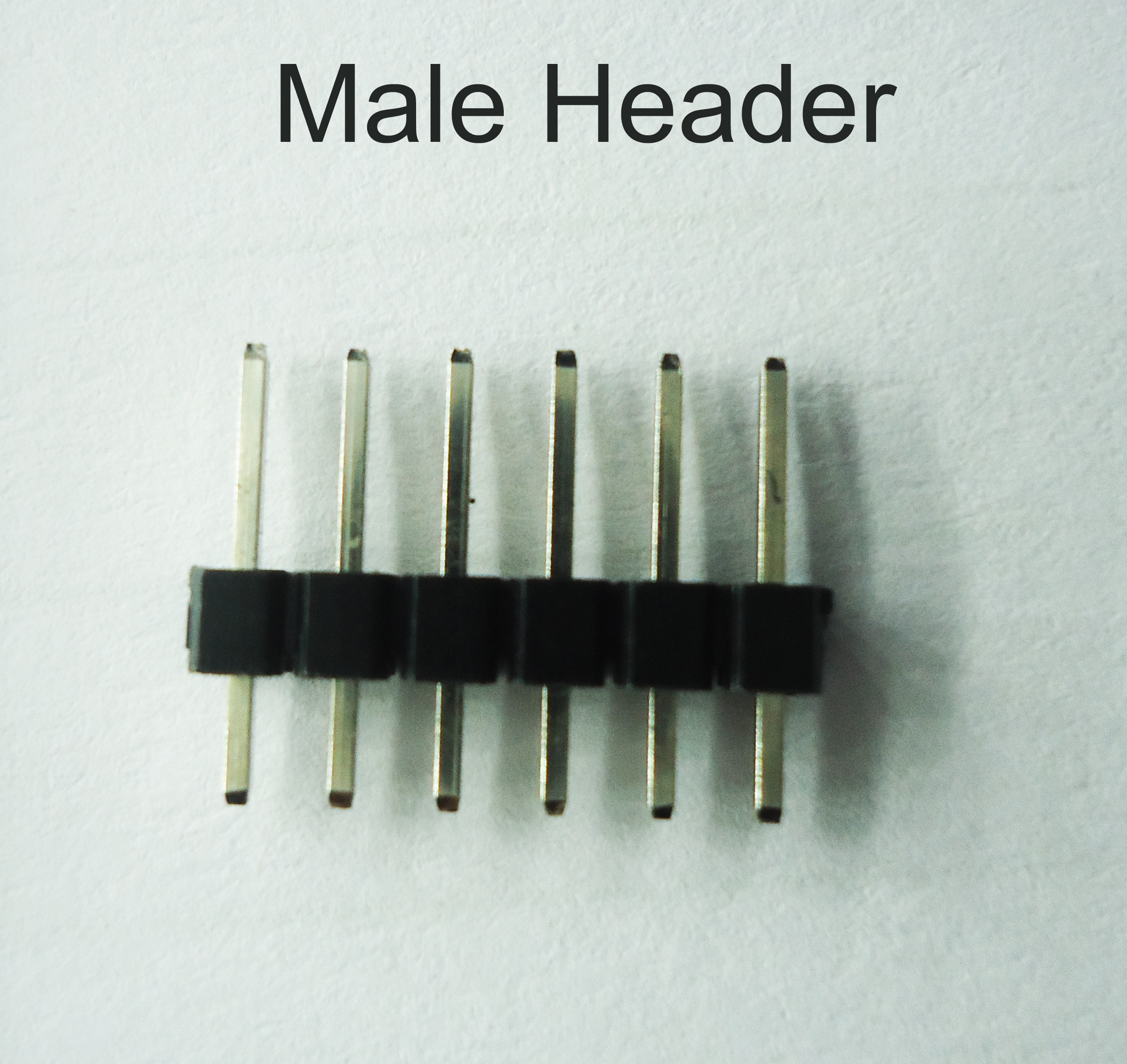 male header.jpg