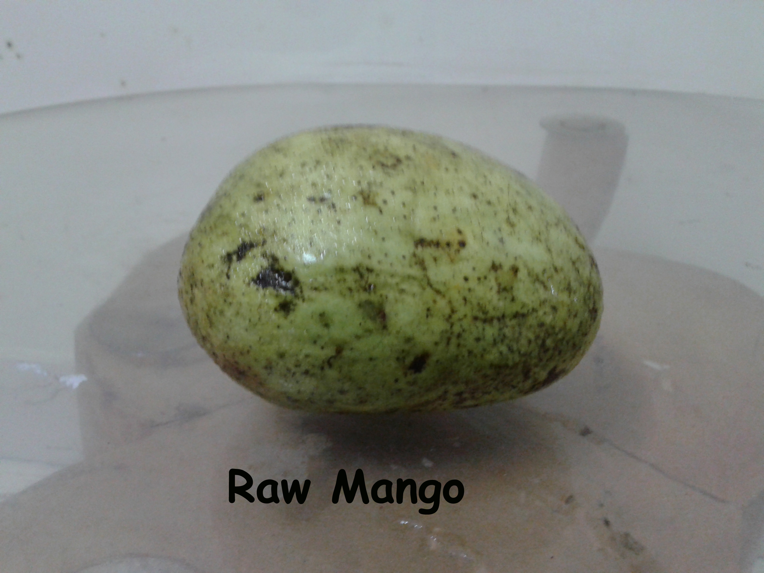 mango.jpg