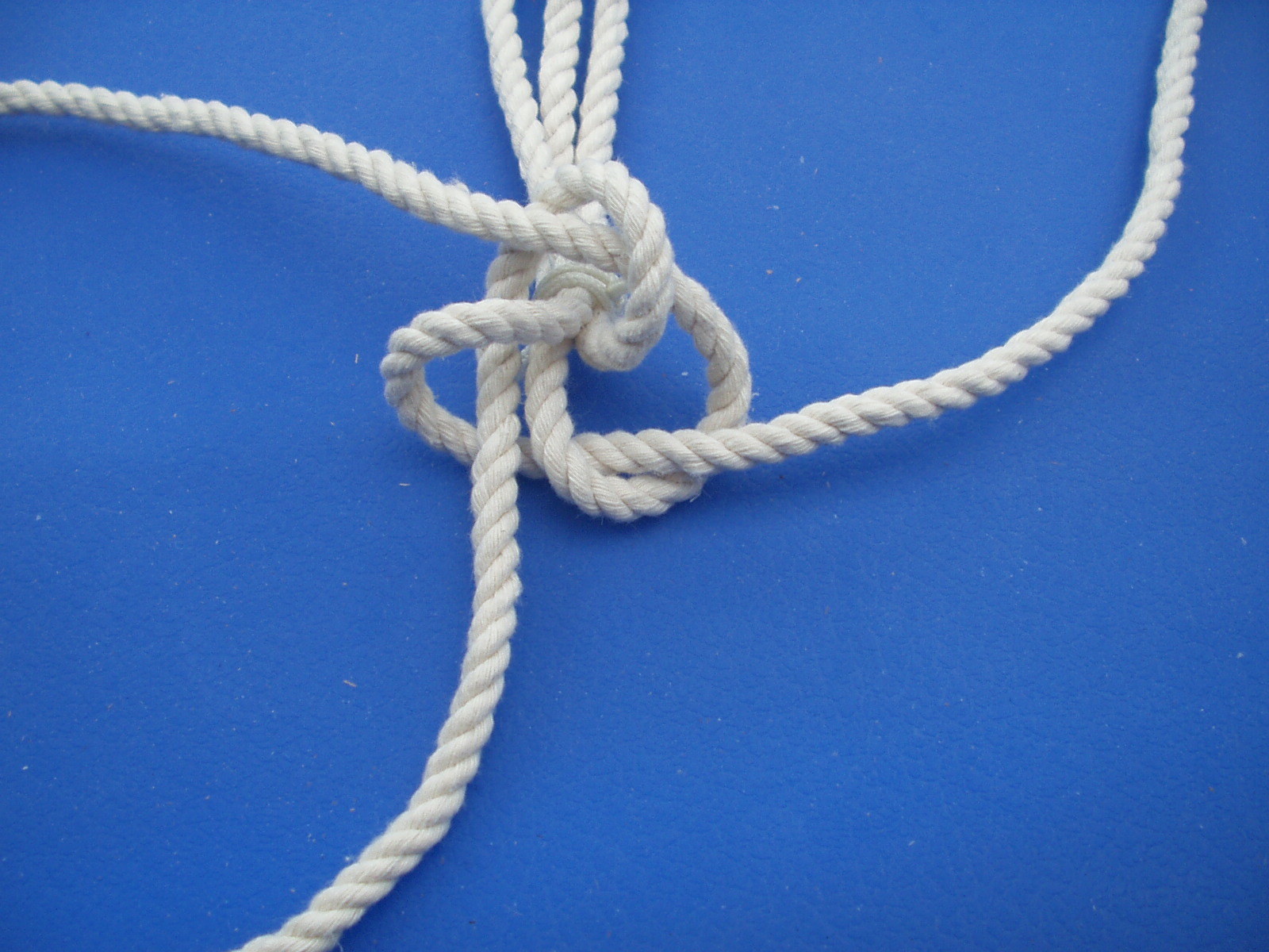 manrope 002.JPG