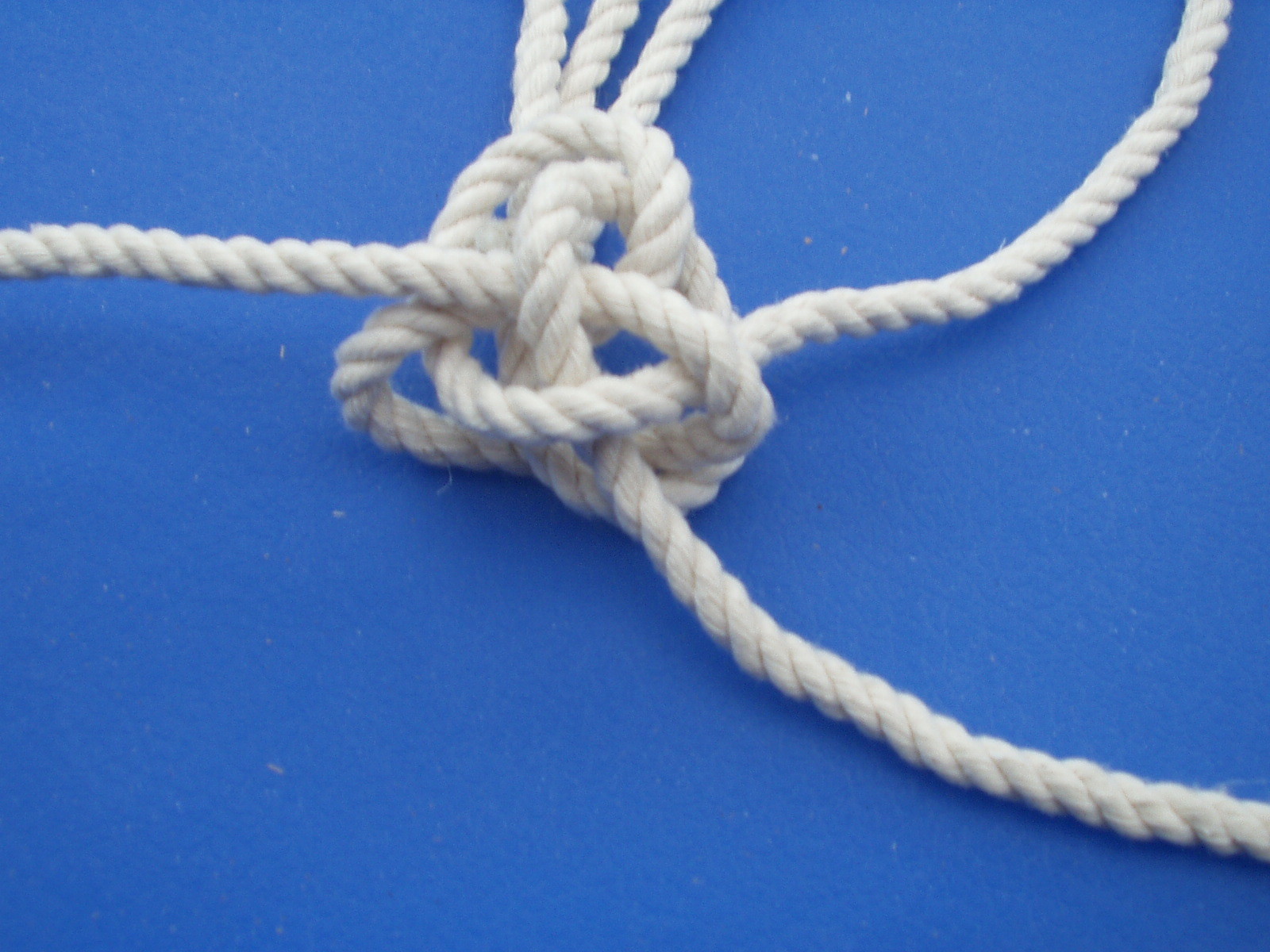 manrope 003.JPG