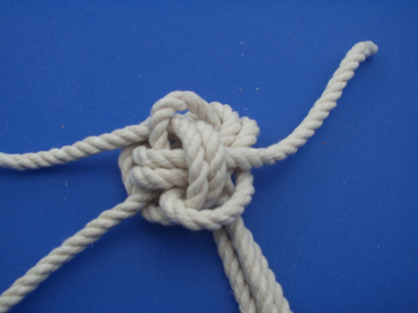 manrope 007.JPG