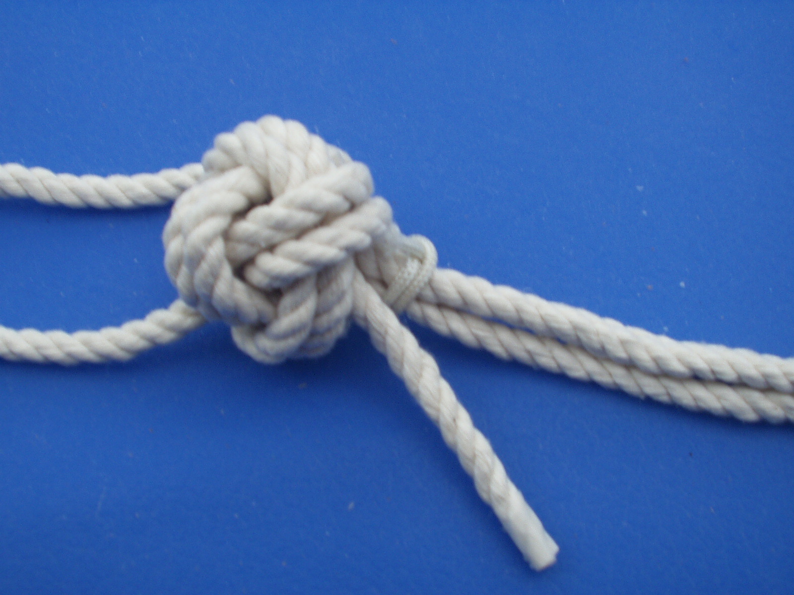 manrope 011.JPG