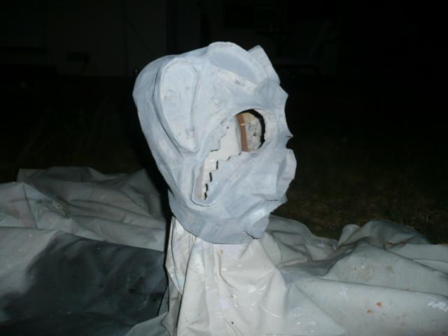 mask2008 205_640x480.jpg