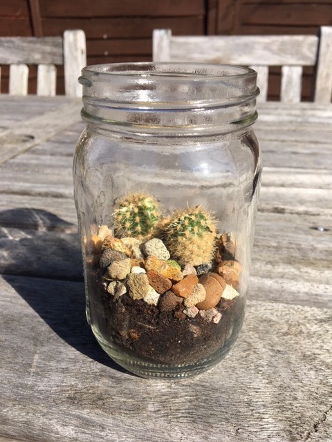 mason jar with cacti in.jpeg