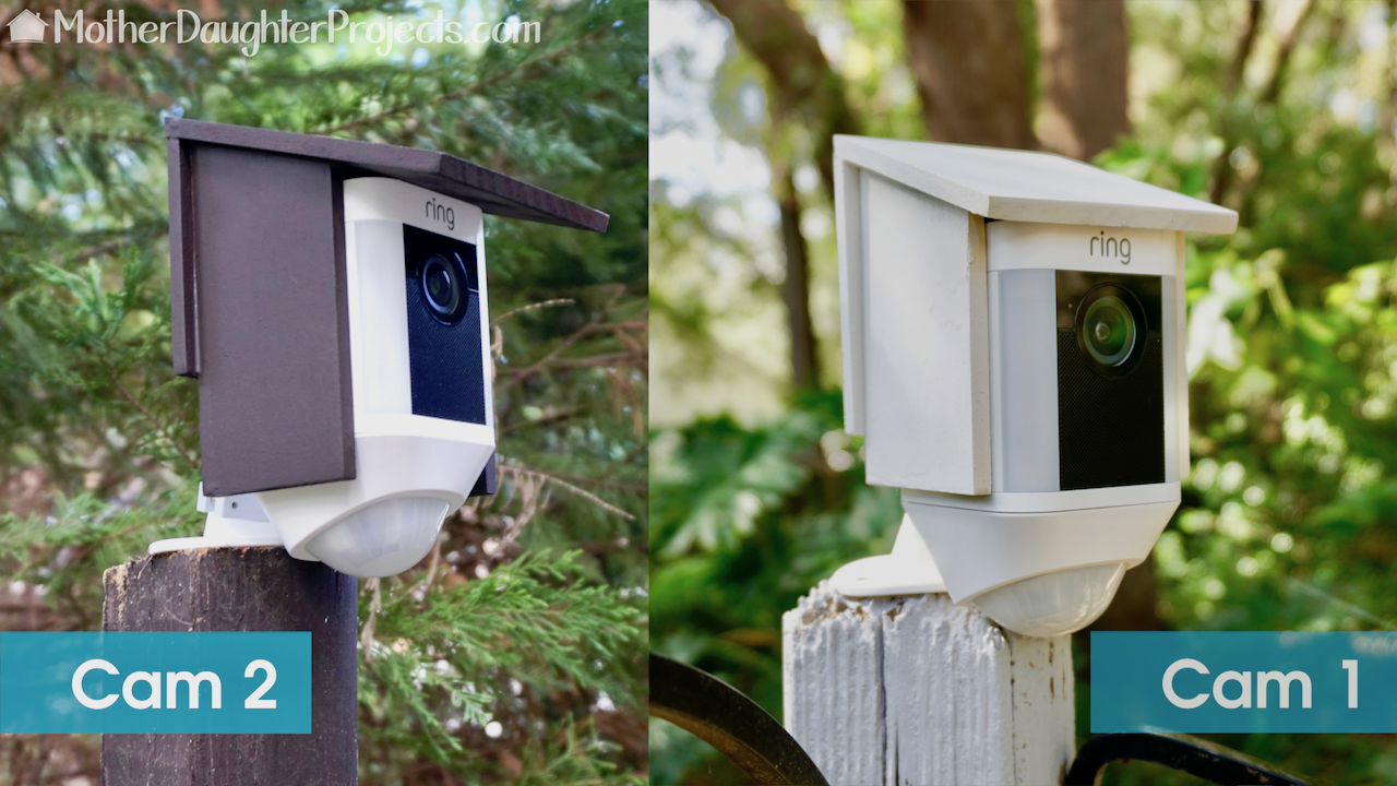 mdp-bird-house-cam - 18.png