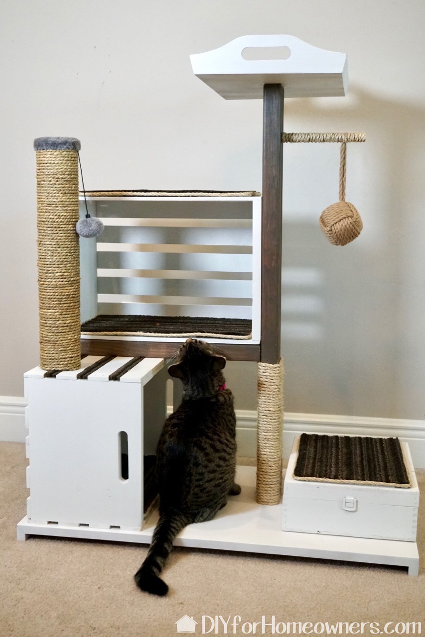 mdp-cat-condo - 19.jpg