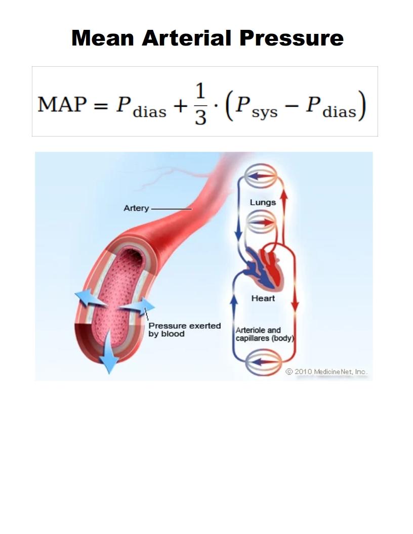 meanarterialpressure.jpg