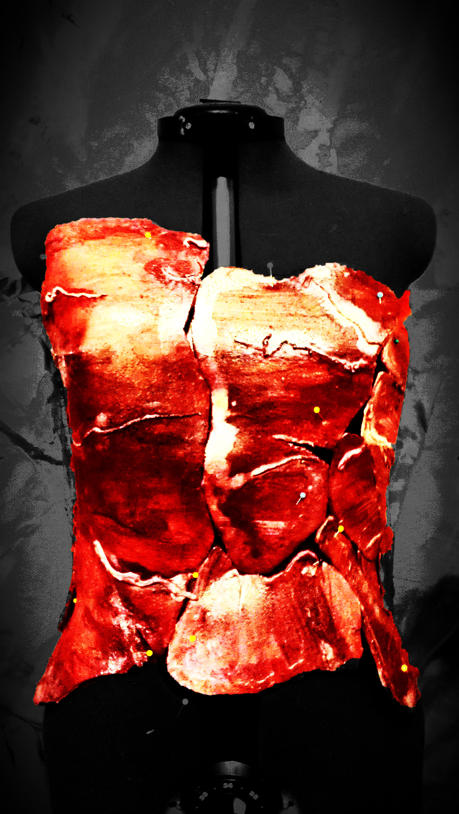 meat corset.jpg