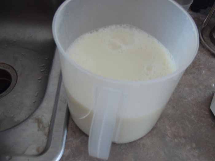 milk after filtering.jpg