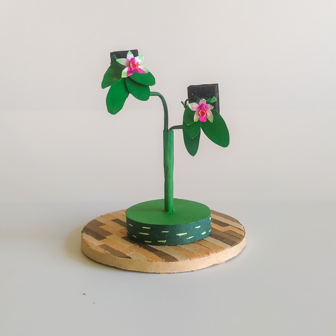miniature orchid by quinzy varira 3.png