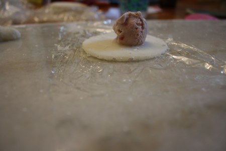 mochi 17.jpg