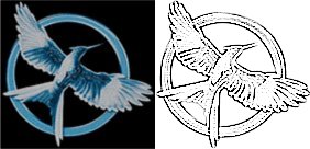 mockingjay.jpg