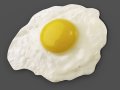 model-fried egg 1.jpg